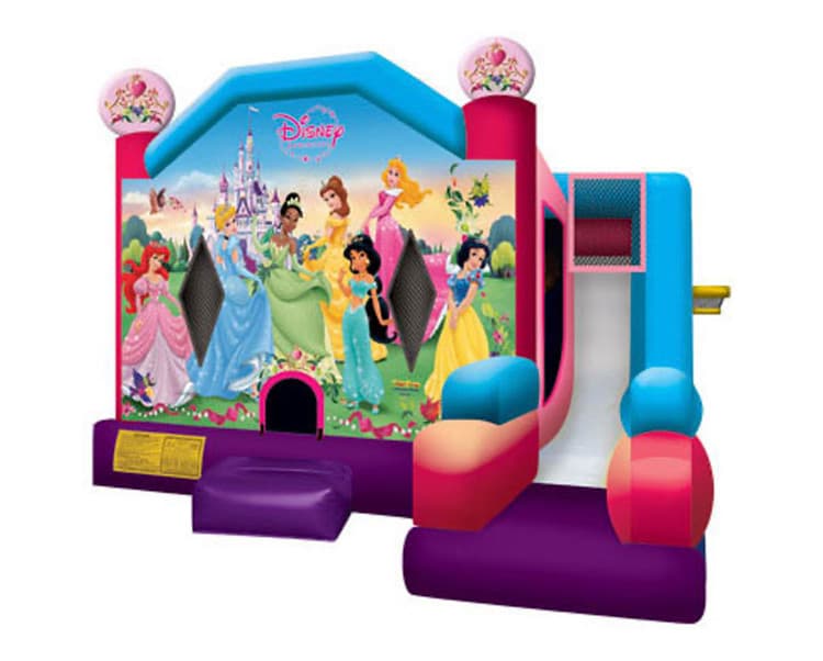 Disney Princess Combo