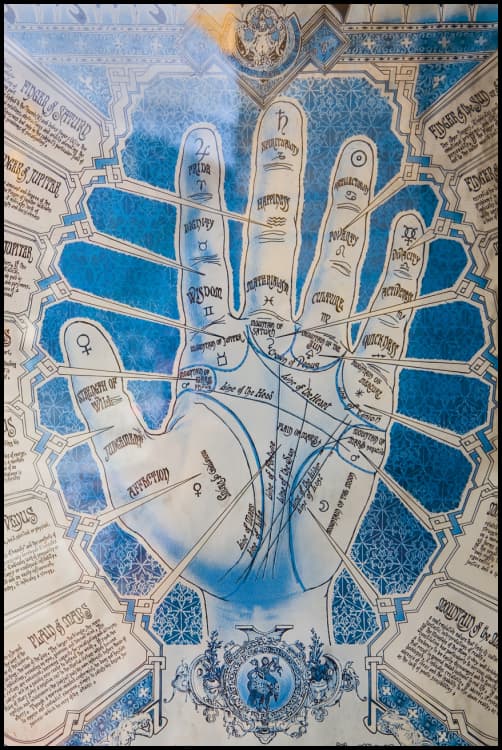Palm Reader